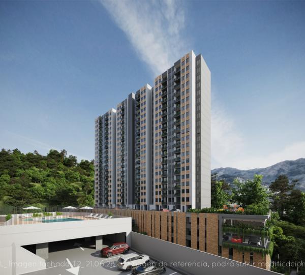 Oliveira Campestre Image