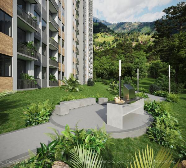 Oliveira Campestre Image