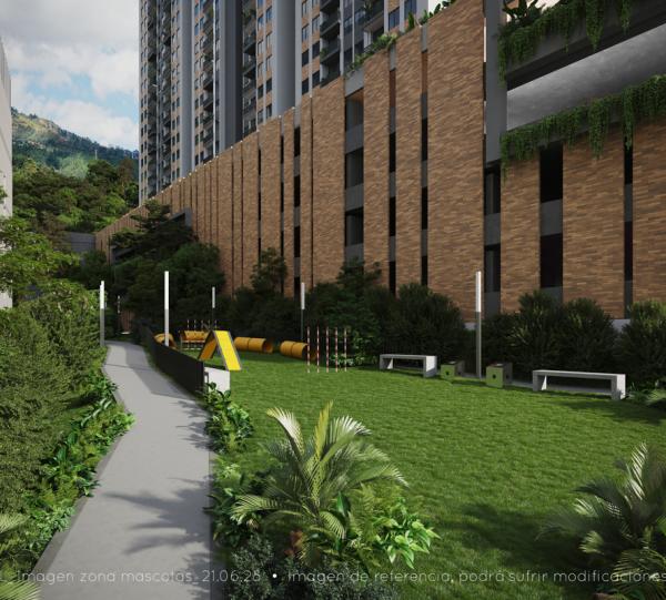 Oliveira Campestre Image