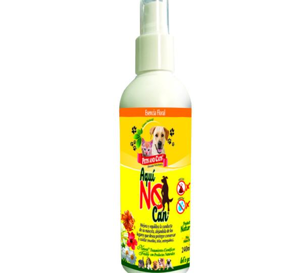 P&C AQUÍ NO CAN® Image