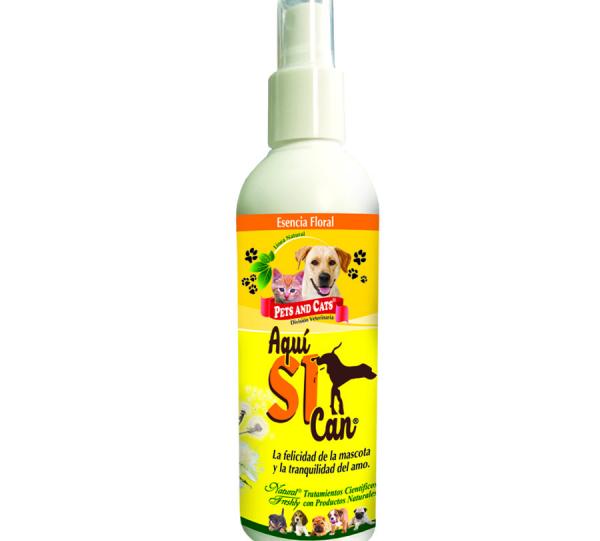 P&C AQUÍ SI CAN® Image