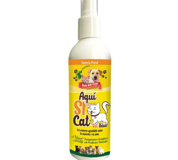 P&C AQUI SI CAT® Image