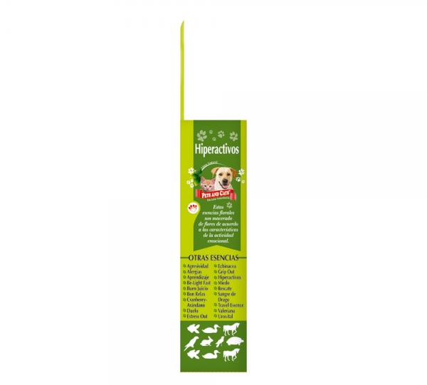 P&C ESSENCE HYPERACTIVES Image