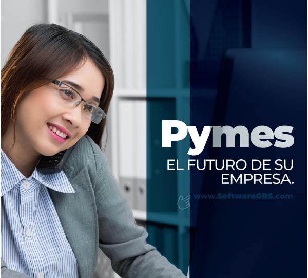 Software GBS for Small Business Edition Image