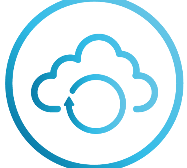 Recovery (Data Recovery Service) Image