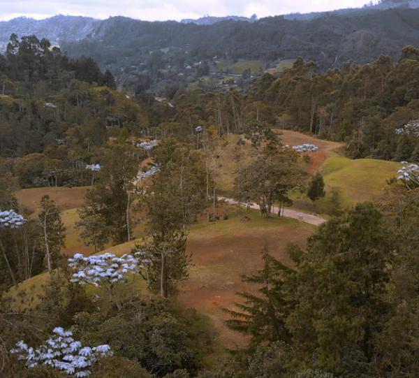 Reservas de Juanito Laguna Image