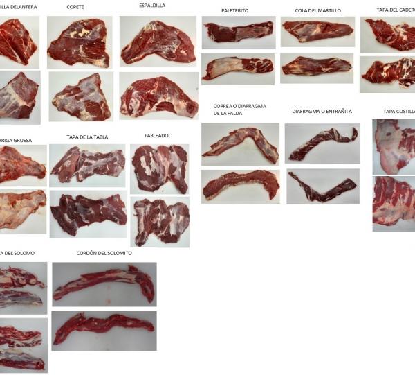 ROBBED FOREQUARTER Image