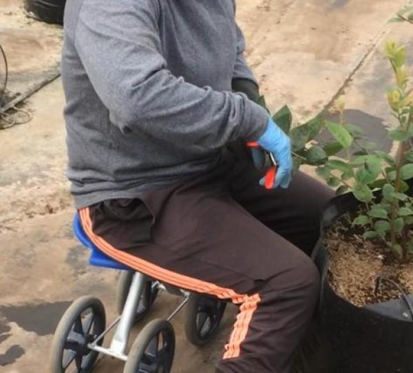 TAVITA rolling short Image