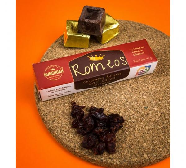 Chocolate cubes + dehydrated fruit Image