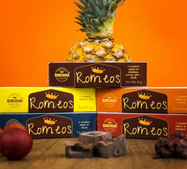 Chocolate cubes + dehydrated fruit Image