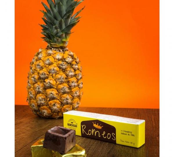 Chocolate cubes + dehydrated fruit Image