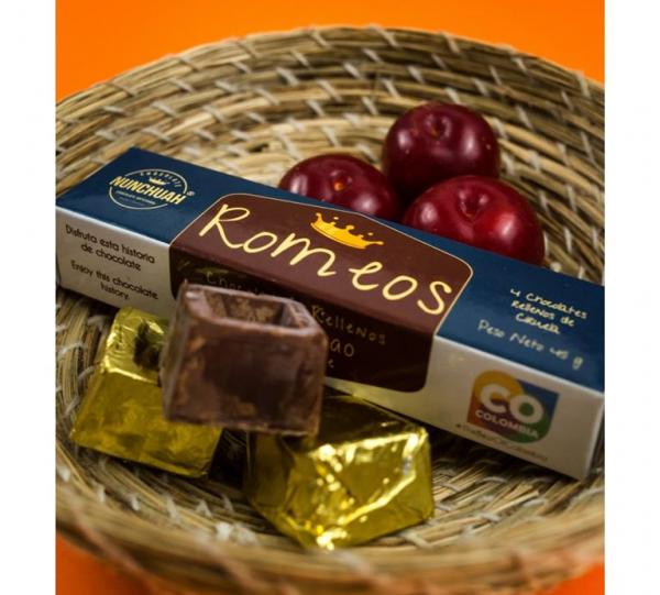 Chocolate cubes + dehydrated fruit Image