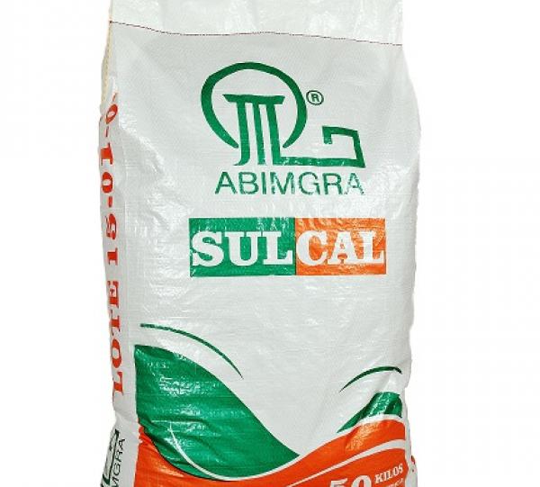 Sulcal Abimgra Image