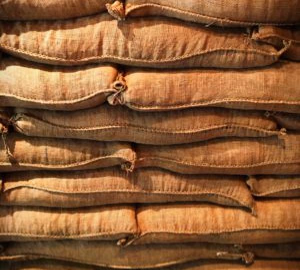 Green Coffee Beans Image