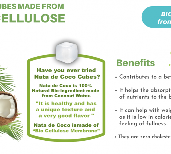 BioKoko - Coconut Lemonade with Coconut Cubes ( Bio NanoCellulose ) 500ML Image