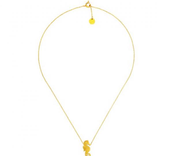 Seahorse Necklace Image