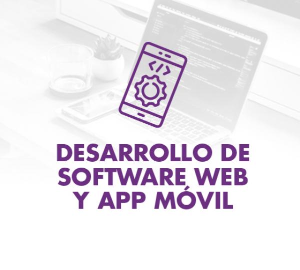 Development of web software and mobile App Image