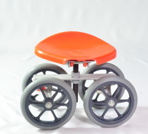 TAVITA rolling short Image