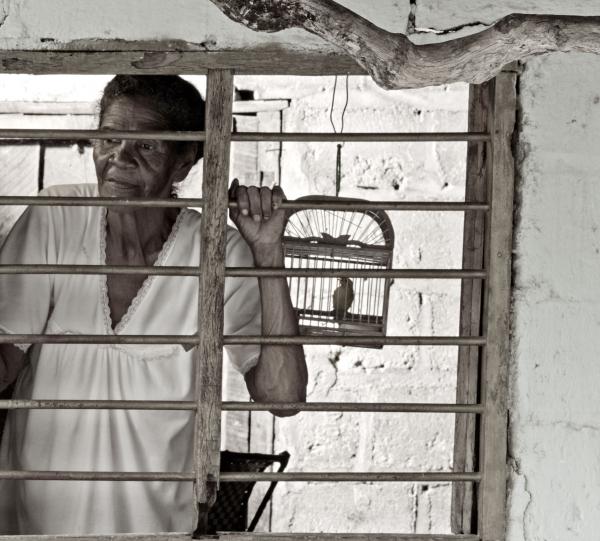 Perish (fiction short film) Image