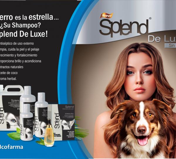 Splend Shampoo Deluxe Image