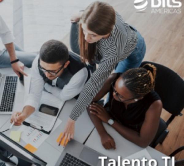 Staffing-Management of IT Professionals Image