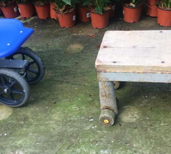 TAVITA rolling short Image