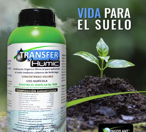 Transfer Humic Image