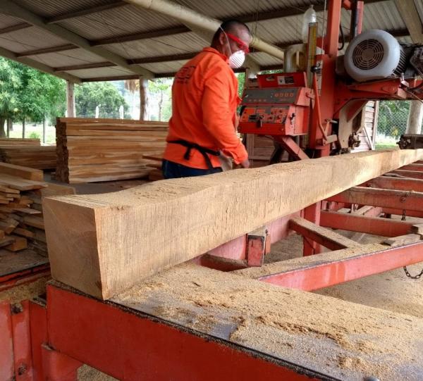 Teak wood blocks Image