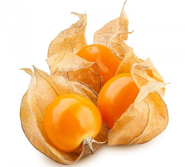 Physalis- Image
