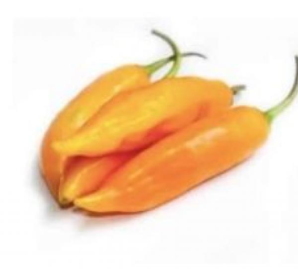 Peruvian Yellow Image