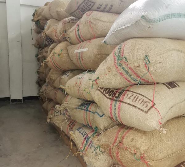 Green Coffee Bean - Standard and Specialty Image