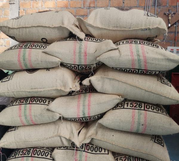 Green Coffee Bean - Standard and Specialty Image