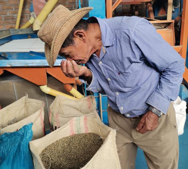 Green Coffee Bean - Standard and Specialty Image