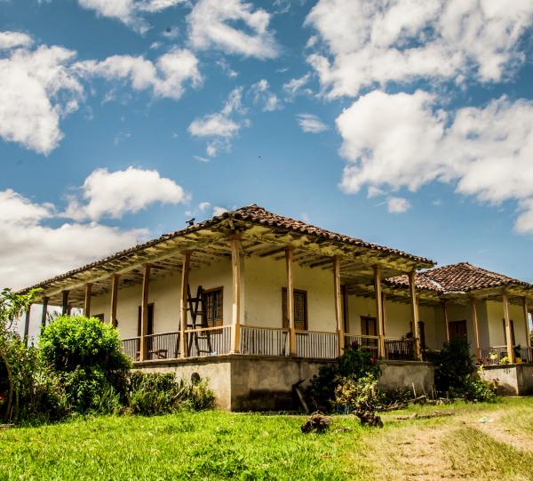 Doña Juana Green specialty Colombian coffee beans Image