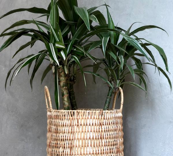 Hand-woven wicker art baskets Image