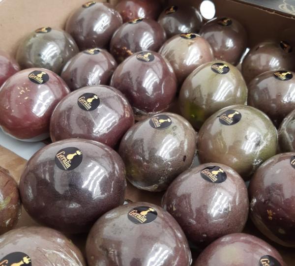 Purple passion fruti Image