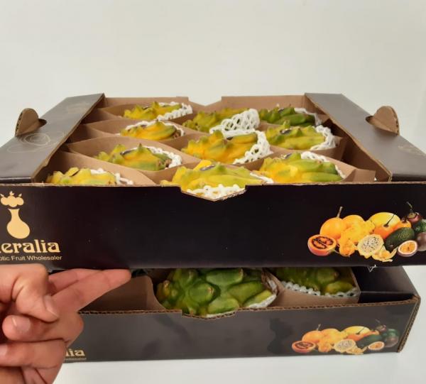 Yellow Dragon Fruit Image