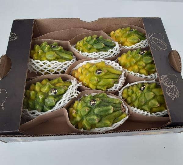 Yellow Dragon Fruit Image