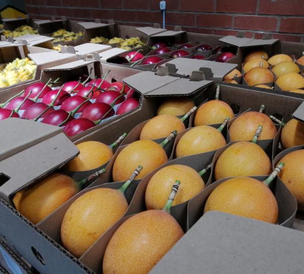 Granadile/ Sweet Passion Fruit - Passiflora ligularis Image