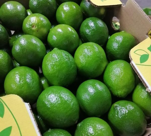 Lime Thahiti / Arabic Lime Image