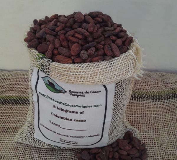 Cacao beans Image
