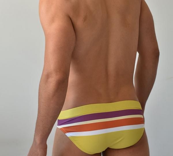 swimwear brief Image