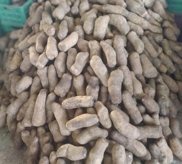 Yam Image