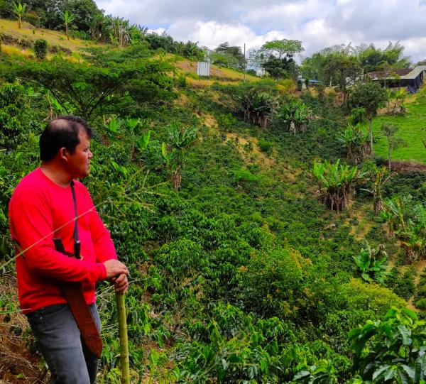 Café Florencia 1984 Image
