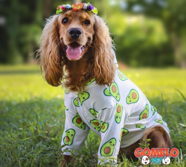 HODDIE AVOCADO FOR PET Image