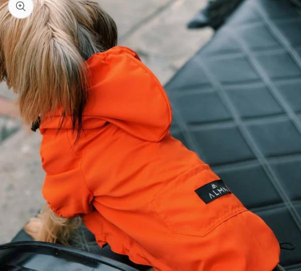 PET JACKET DOG & CAT Image