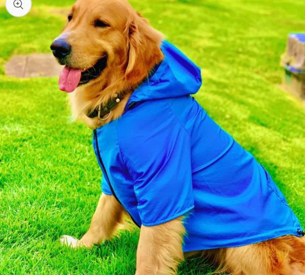PET JACKET DOG & CAT Image