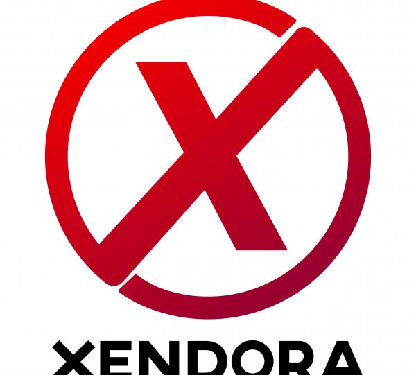 Logo and brand identity design. Image