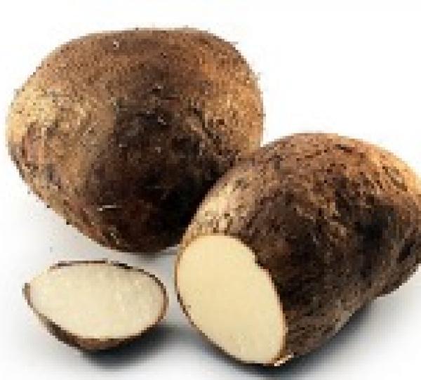 Yam Image