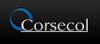 Corsecol Colombia - Fabricación y comercialización de productos prehormados en espuma para la fabricación de brasieres, camisería y vestidos de baño.